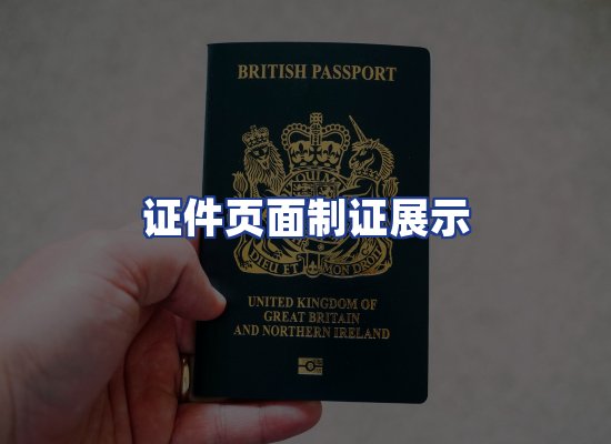 证件页面制证展示